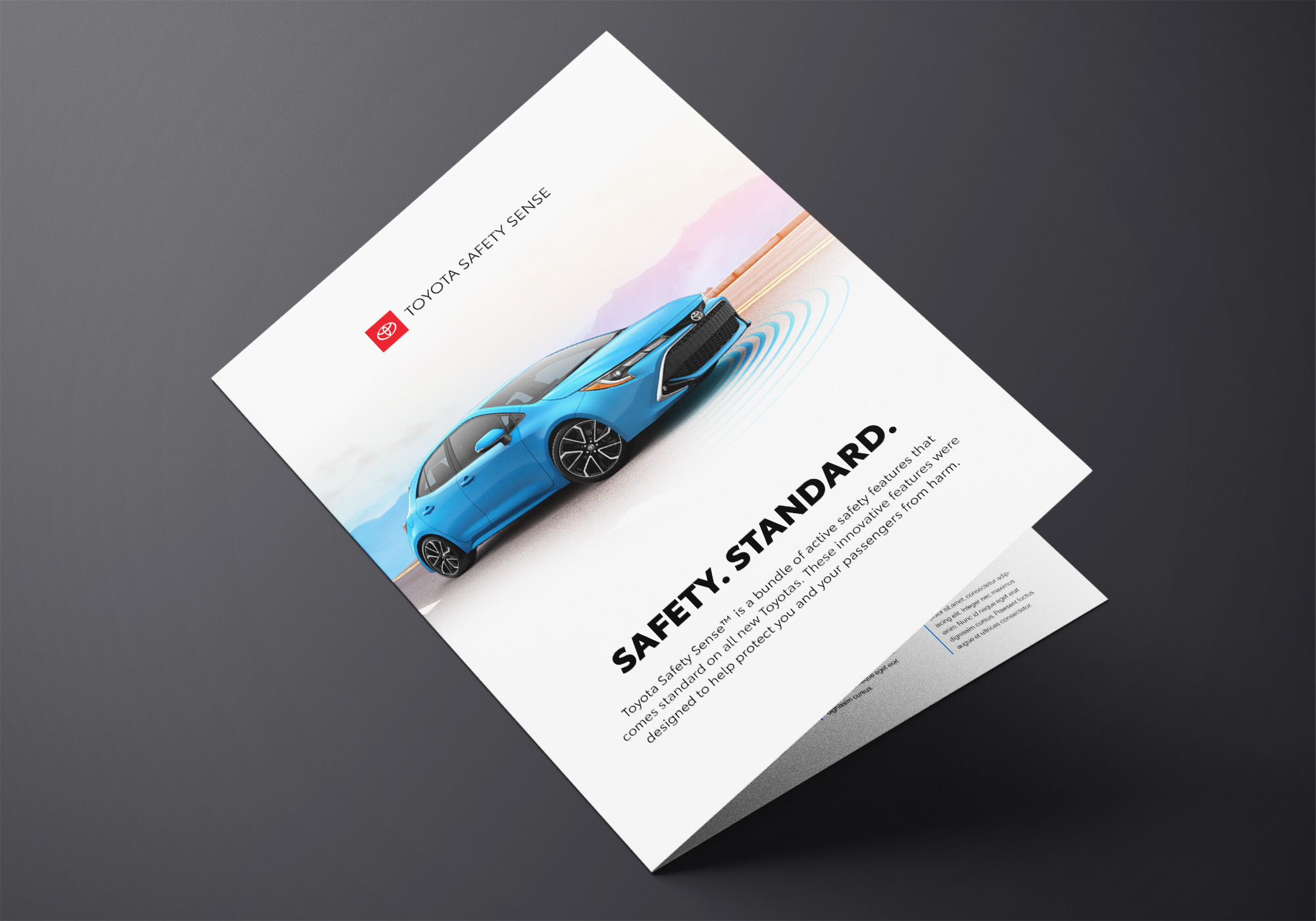 TSS_LEAFLET_A1