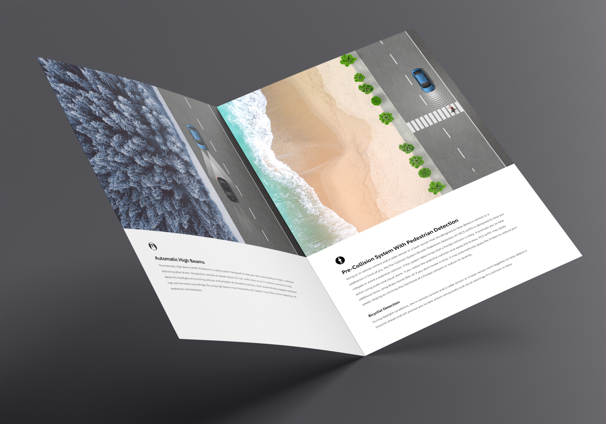 TSS_LEAFLET_B1